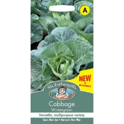 Mr. Fothergill's Cabbage Wintergreen Seeds
